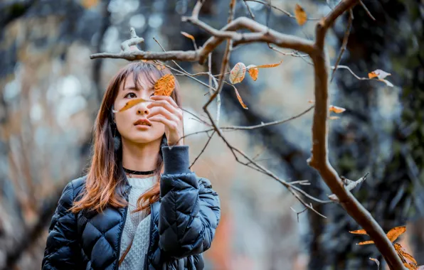 Picture leaves, girl, branches, sweetheart, jacket, Asian, bokeh