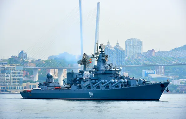 Cruiser, rocket, Vladivostok, guards, The Vikings