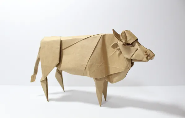 Paper, cow, origami