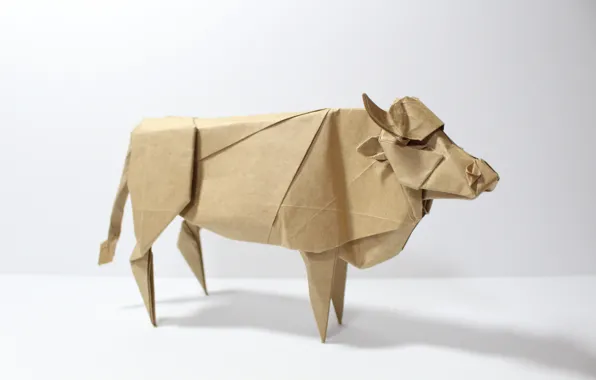 Paper, cows, origami