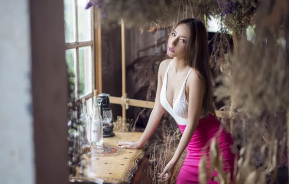 Picture look, face, model, hair, window, beauty