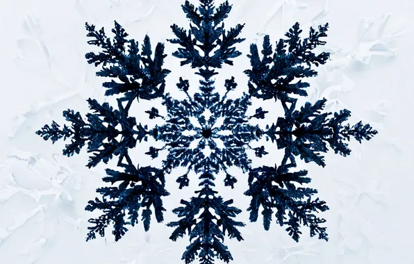 Blue, White, Background, New year, Snowflake, Blue Snowflake