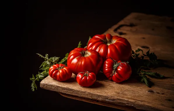 Greens, light, bright, food, red, black background, vegetables, tomatoes