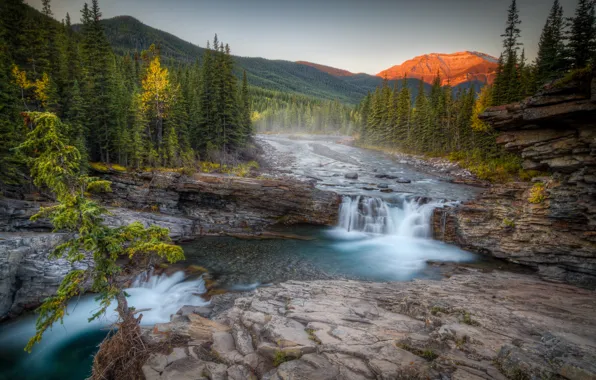 Picture forest, mountains, river, waterfall, Canada, Albert, Alberta, Canada