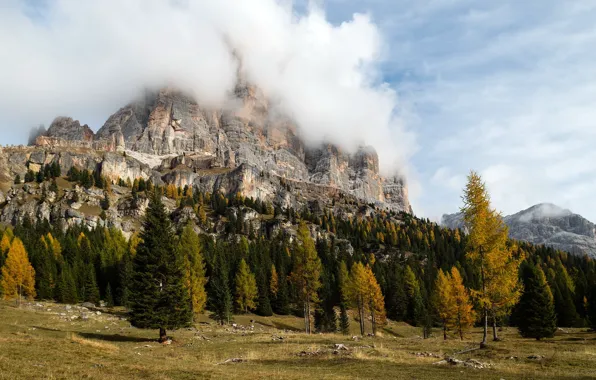 Picture Italy, South Tyrol, Shrouded in Clouds