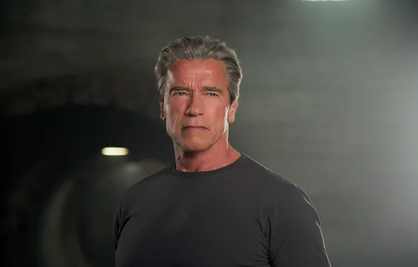 Picture Arnold Schwarzenegger, terminator, Arnold Schwarzenegger, Terminator Genisys, Terminator 5