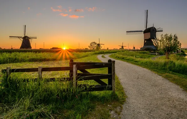 Road, field, grass, sunset, the fence, mill, Netherlands, wind