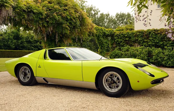 Color, Auto, Lamborghini, Retro, Green, Machine, Car, Supercar