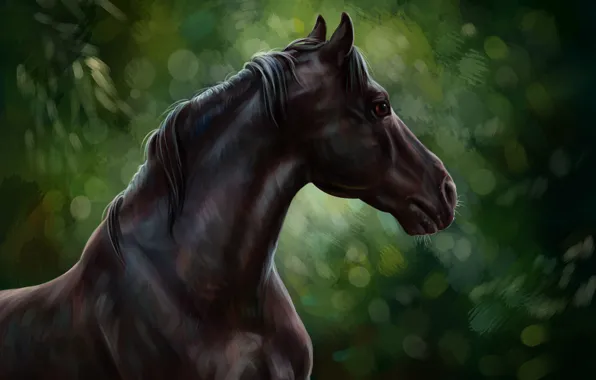 Horse, oil, art, watercolor, pencil, painting, horse, horse