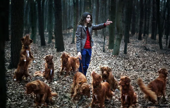 Picture forest, dogs, girl