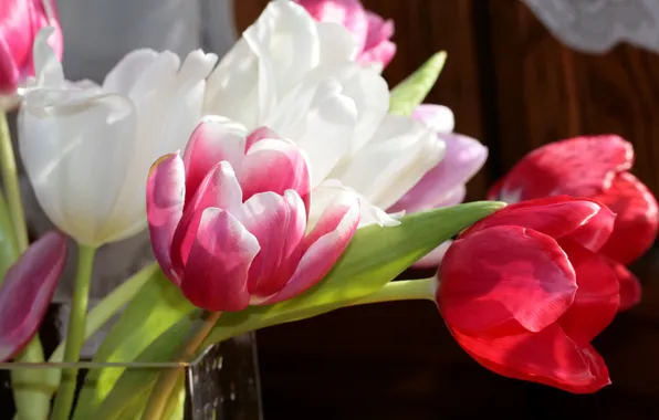 Photo, Flowers, Tulips, Closeup