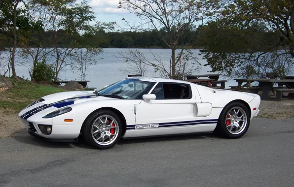 Picture Ford, Blue, White, lake, Stripes, gt