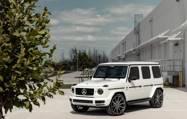 Picture Mercedes, AMG, White, G63, Brick, Sight, W464