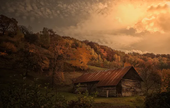 Picture autumn, the barn, hill