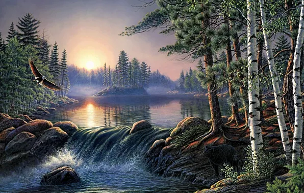 Picture forest, nature, river