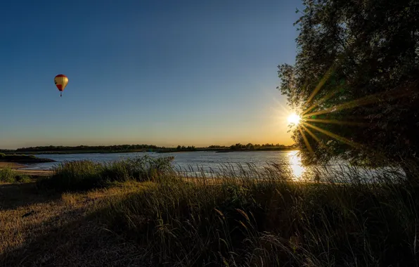 Summer, the sky, the sun, balloon, tree, shore, pond, balloon