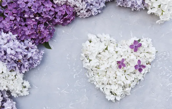 Flowers, heart, love, white, heart, flowers, lilac, romantic