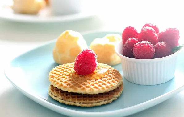 Picture raspberry, background, widescreen, Wallpaper, food, wallpaper, widescreen, waffles