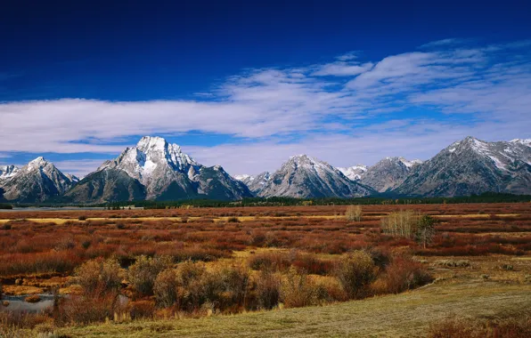 Picture forest, mountains, nature, river, valley