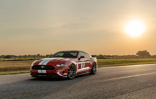 Picture car, Mustang, Ford, sun, Hennessey, Hennessey Ford Mustang Heritage Edition