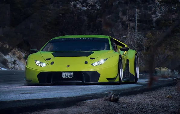 Picture Lamborghini, Car, Race, Green, GT3, Day, Huracan