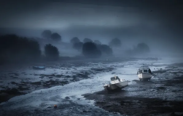 Picture night, fog, river, boats