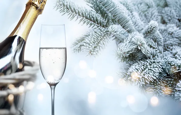 Picture winter, snow, branches, tree, New Year, glasses, frost, champagne