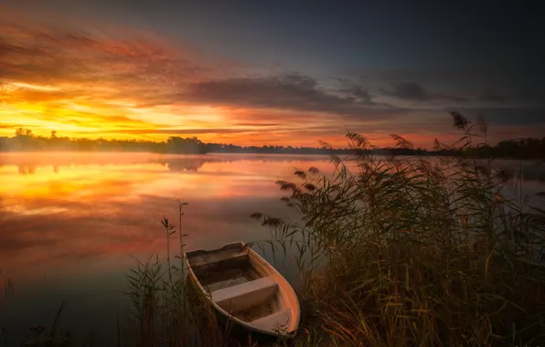 Picture the sky, sunset, river, boat
