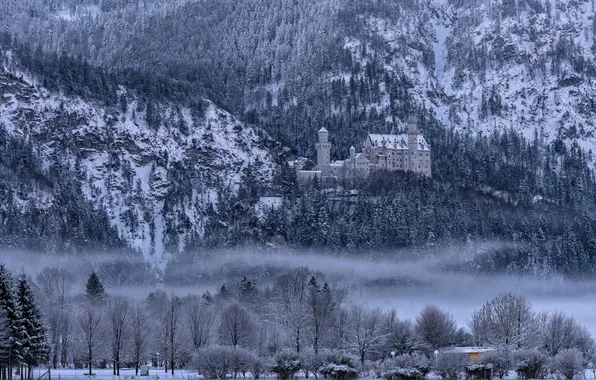 Picture winter, snow, trees, mountains, fog, Germany, Bayern, Neuschwanstein castle