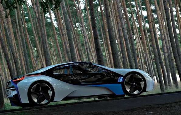 Picture forest, BMW, the concept