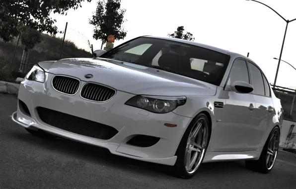 Picture road, white, trees, bmw, BMW, lights, white, sedan