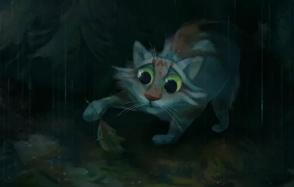 Cat, nature, rain, by Speedienth