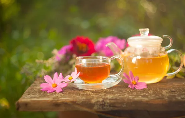 Flowers, tea, kettle, drink, kosmeya