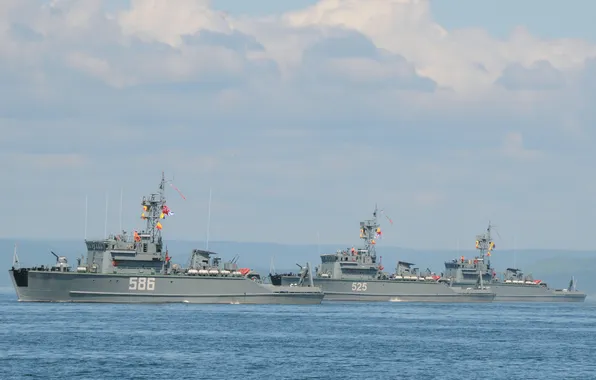 Exercises, project 1265, minesweepers, basic, trawling