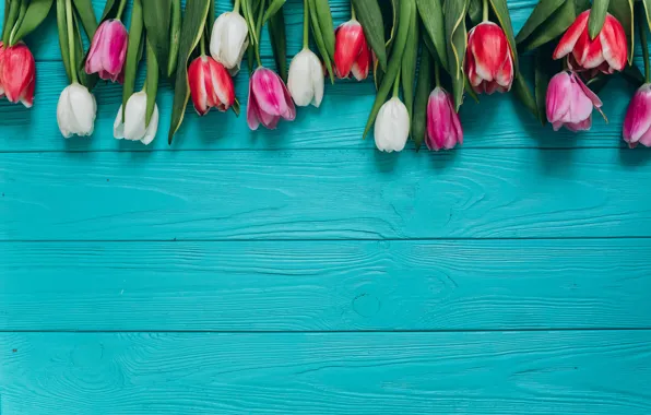 Flowers, bouquet, colorful, tulips, pink, white, white, fresh