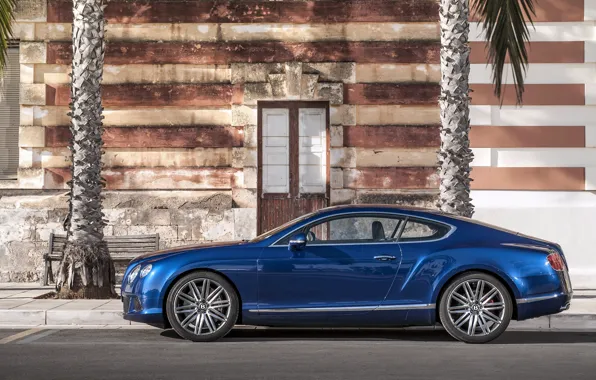 Picture Auto, Bentley, Continental, Blue, Machine, The door, Day, The building