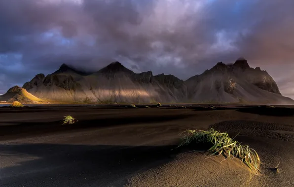 Picture beach, Iceland, Vestrahorn