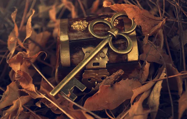 Picture autumn, leaves, metal, key, box, fallen