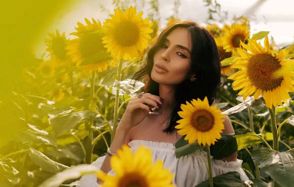 Model, sunflower, brunette