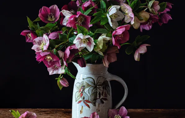 Background, bouquet, pitcher, hellebore