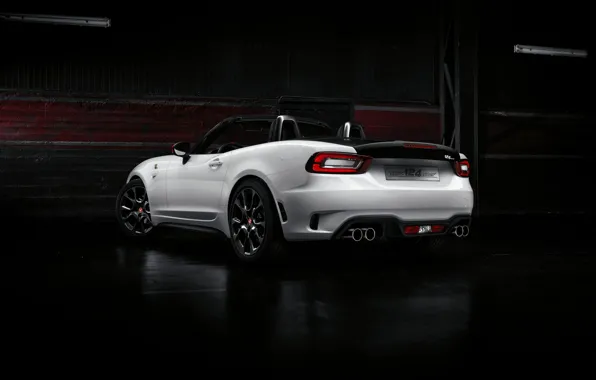 Picture darkness, hangar, Roadster, rear view, spider, black and white, double, Abarth