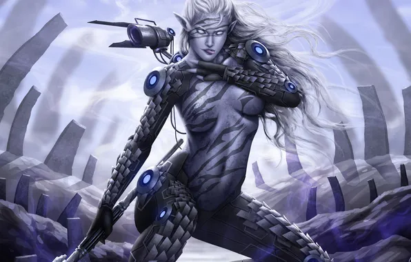 Chest, elf, dark elf, hunter