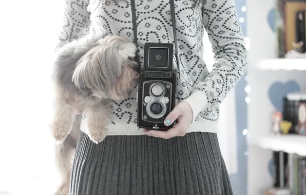 Picture girl, background, Wallpaper, mood, dog, the camera, dog, wallpapers