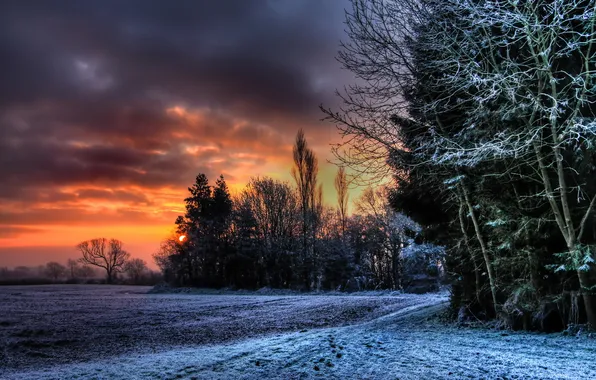 Landscape, sunset, nature