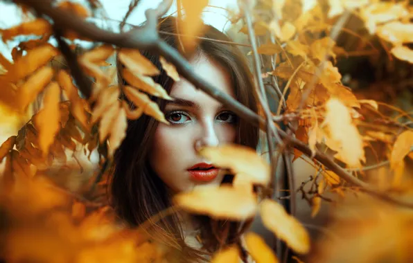Picture eyes, look, leaves, girl, face, lipstick, lips