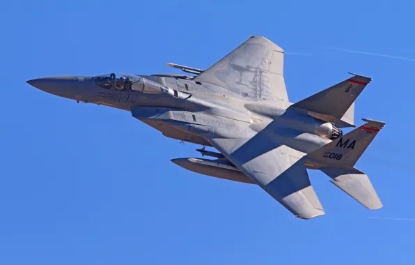 Weapons, the plane, F-15C