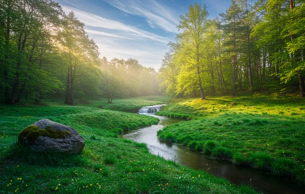 Forest, the sky, grass, clouds, stream, spring, grass, forest