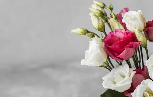 Flowers, bouquet, eustoma