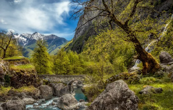 Picture landscape, mountains, bridge, nature, river, stones, vegetation, Alexander the Silent