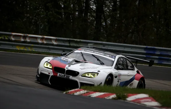 Picture grass, asphalt, trees, coupe, BMW, the fence, 2019, M6 GT3
